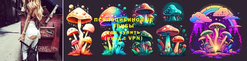 Псилоцибиновые грибы Magic Shrooms  Дальнегорск 